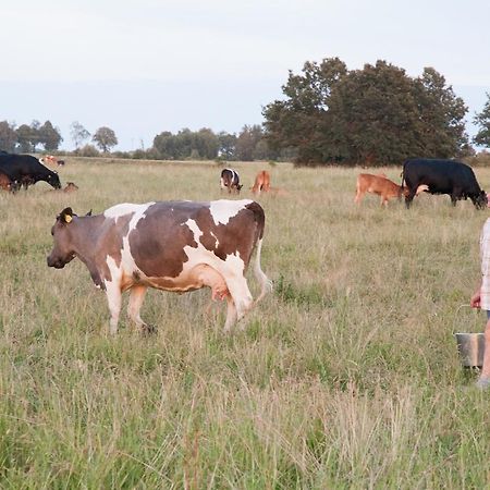 Agroturystyka Lolkowo Srokowo Exterior foto
