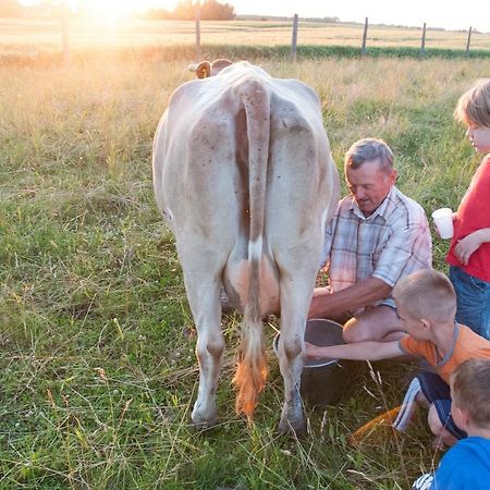 Agroturystyka Lolkowo Srokowo Exterior foto